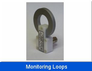 Monitoring Loops